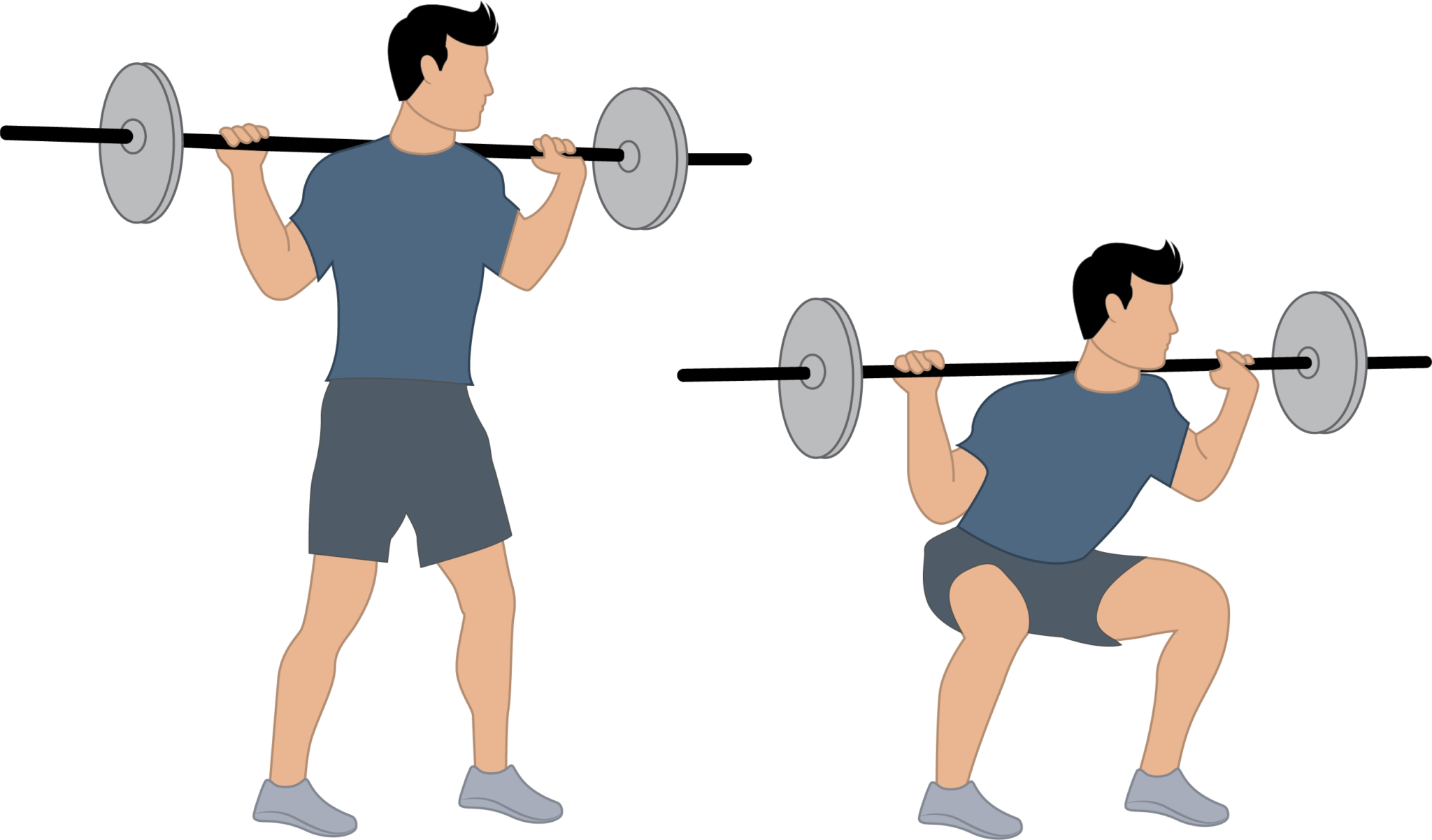 L'exercice du squat à la barre