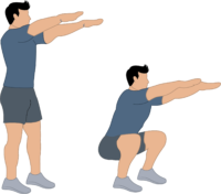 Exercice du squat