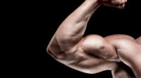 Comment se muscler les bras rapidement et efficacement ?