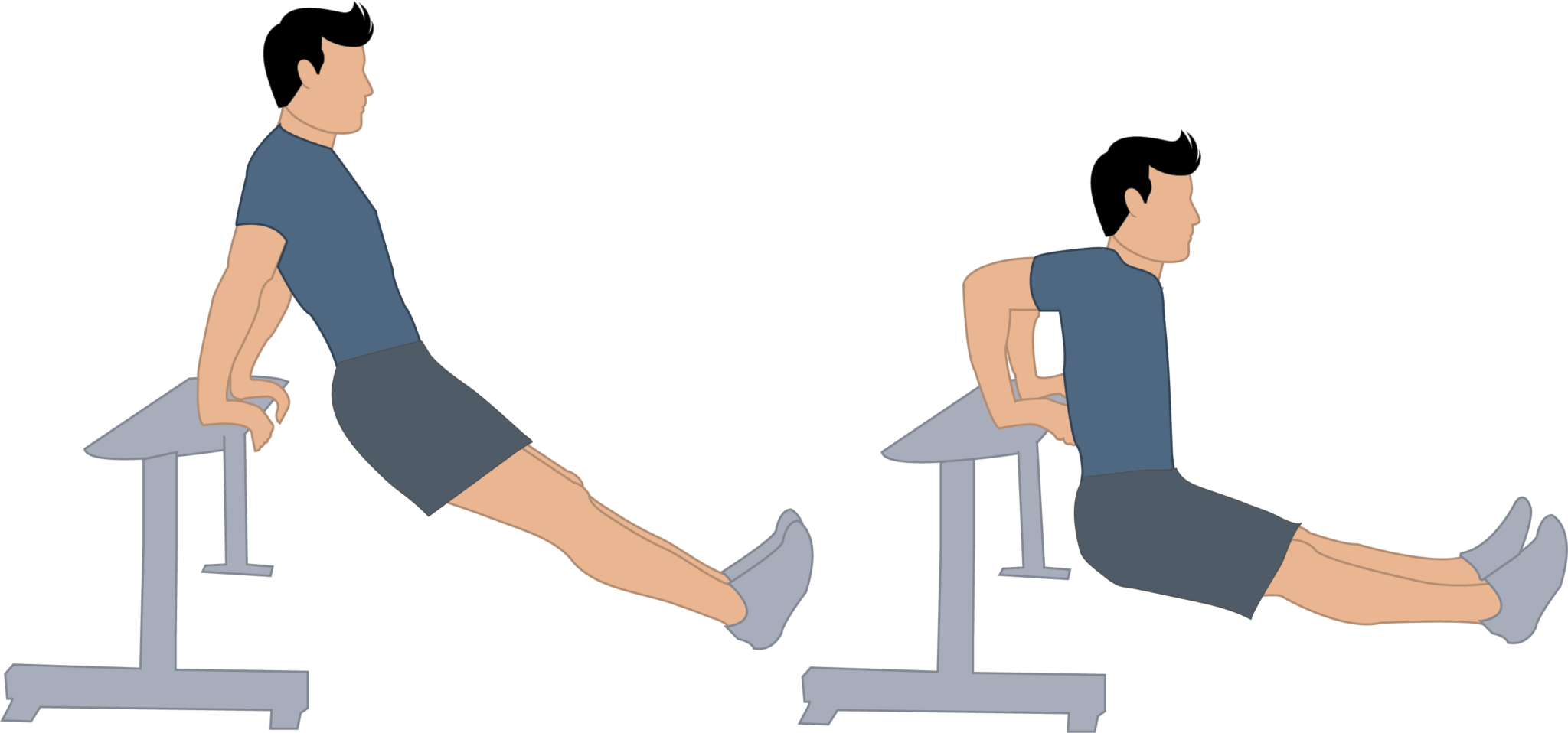 Dips Exercise Muscles Used Dips Exercise Muscles Used