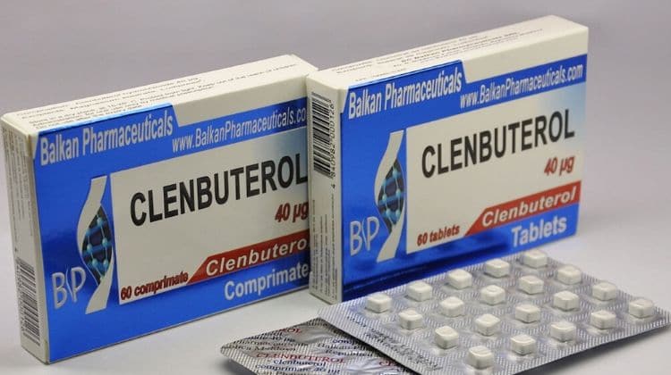 Clenbuterol musculation