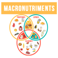 Macro-nutriments musculation gainer