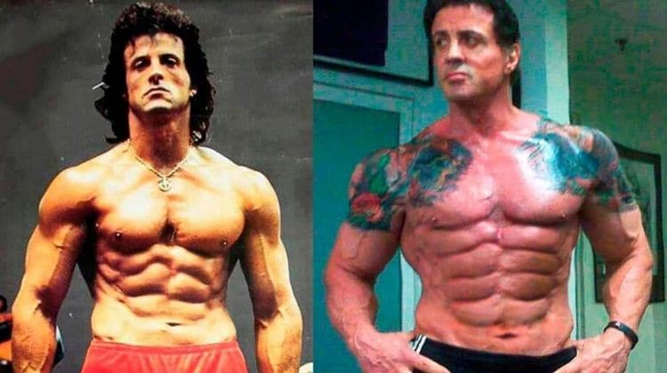 Sylvester stallone musculation