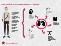 Importance de la respiration diaphragmatique