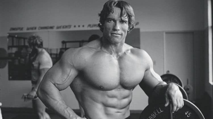 Musculation d’Arnold Schwarzenegger