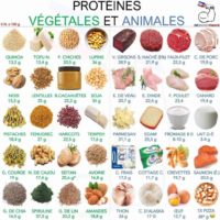 aliments riches en protéine