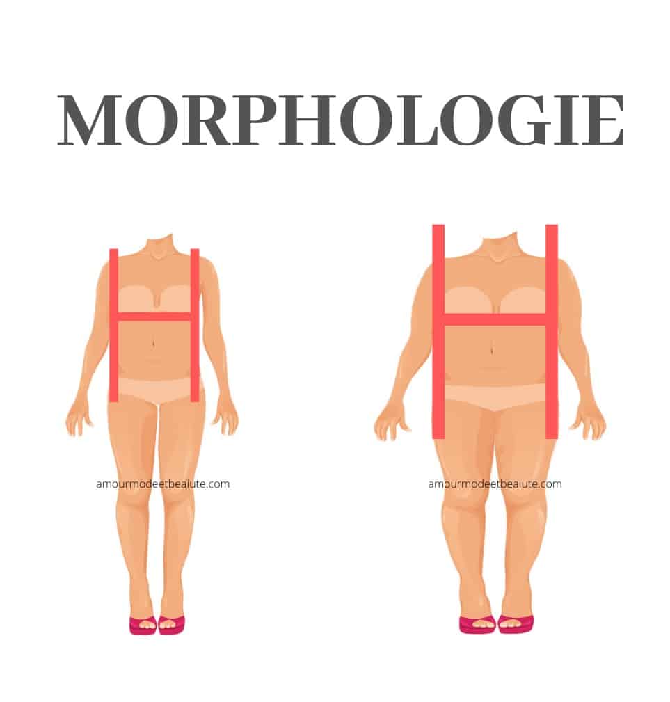 morphologie en H