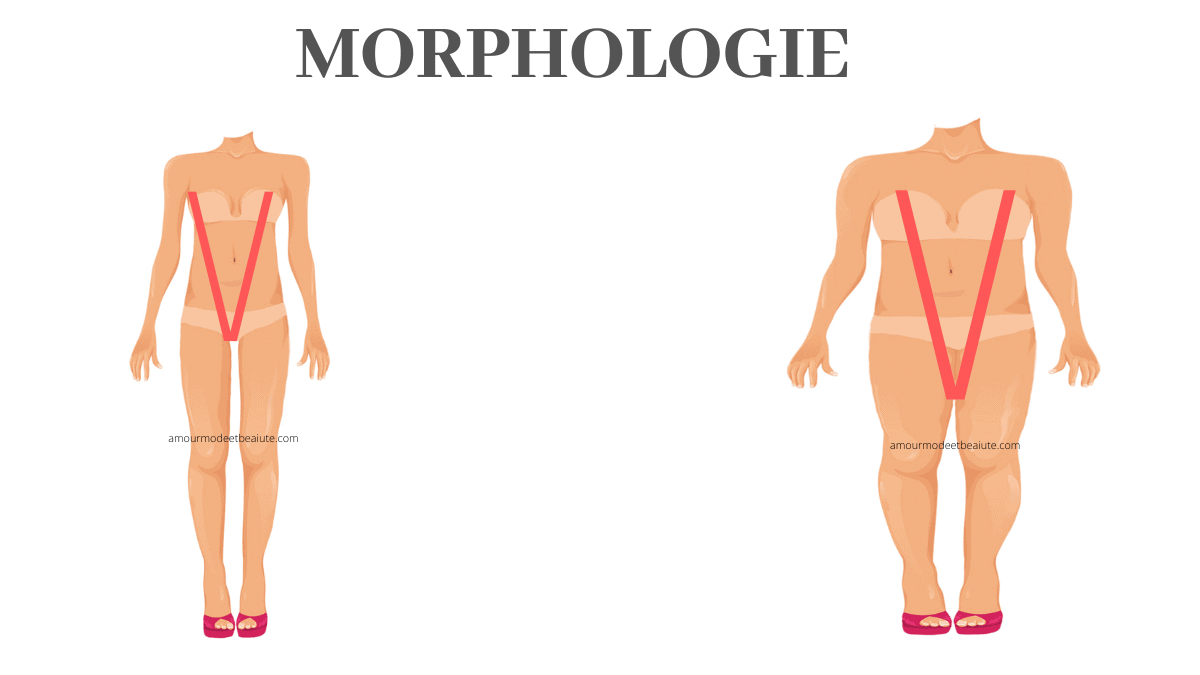 morphologie en V