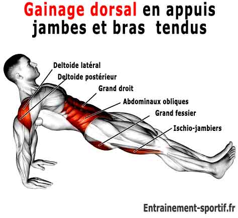 le gainage dorsal jambes tendues