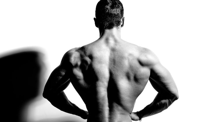 Le guide complet pour vos muscles profonds du dos