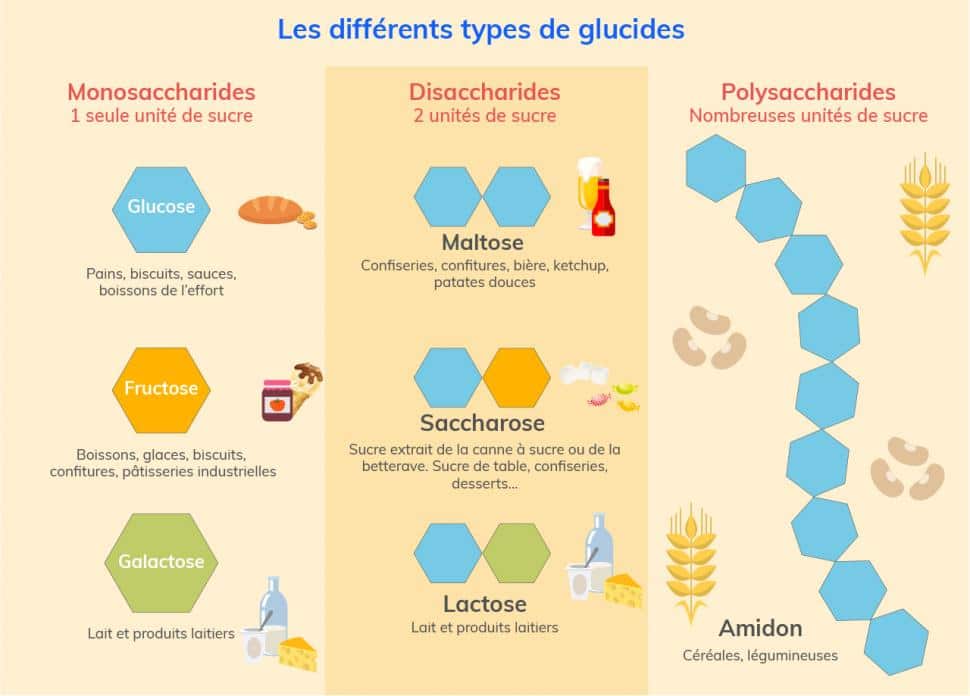 différent types de glucides