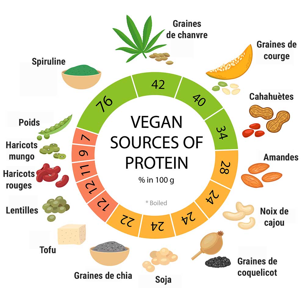 sources protéines végétales