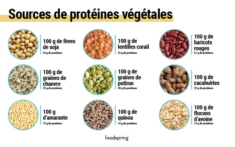protéine vegetale