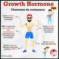 effets hormones de croissance