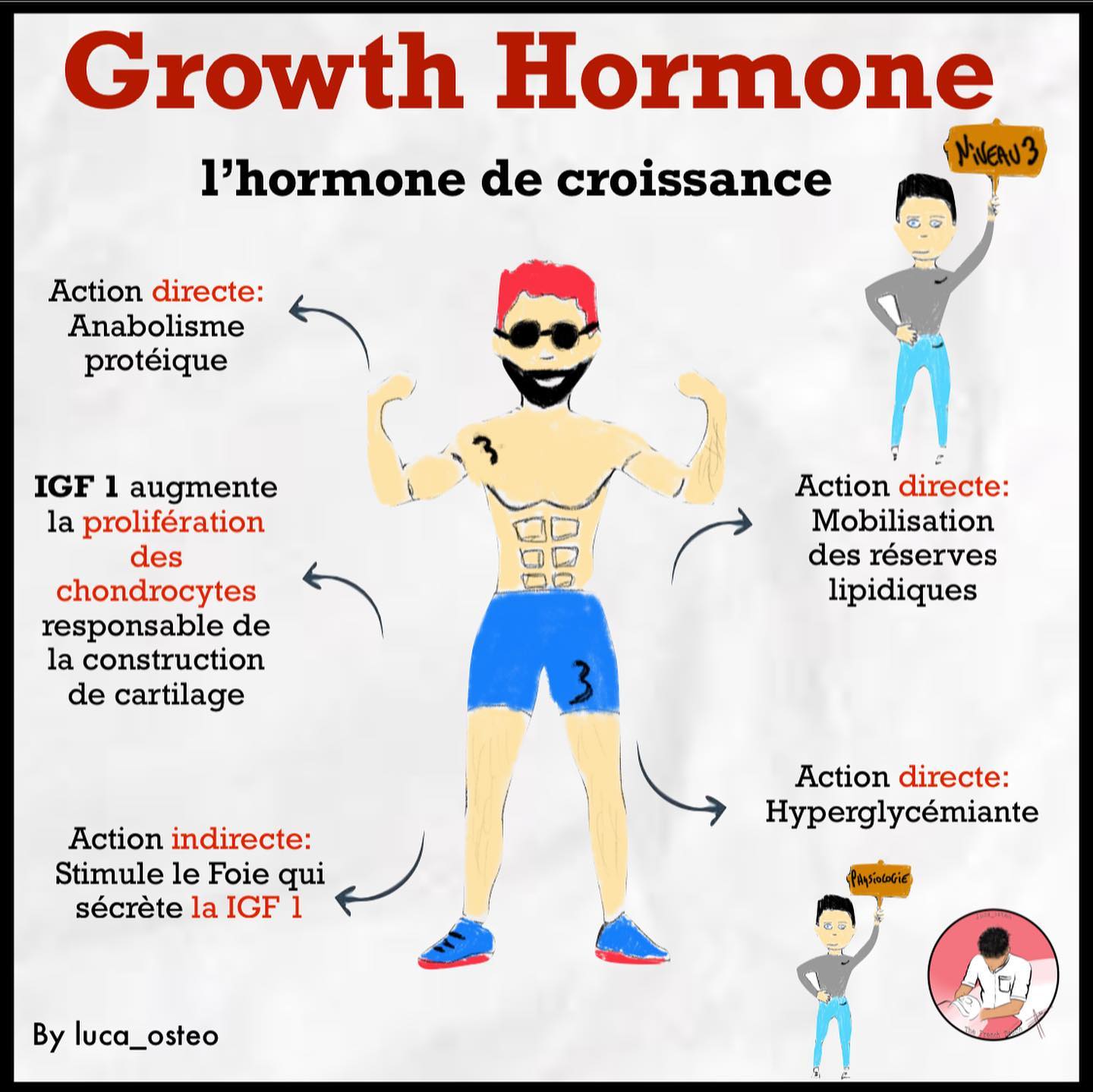 effets hormones de croissance