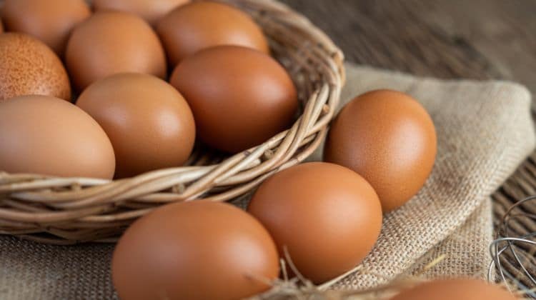 Peut-on manger des œufs tous les jours ?