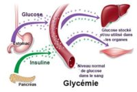 qu'est ce que le glucose ?