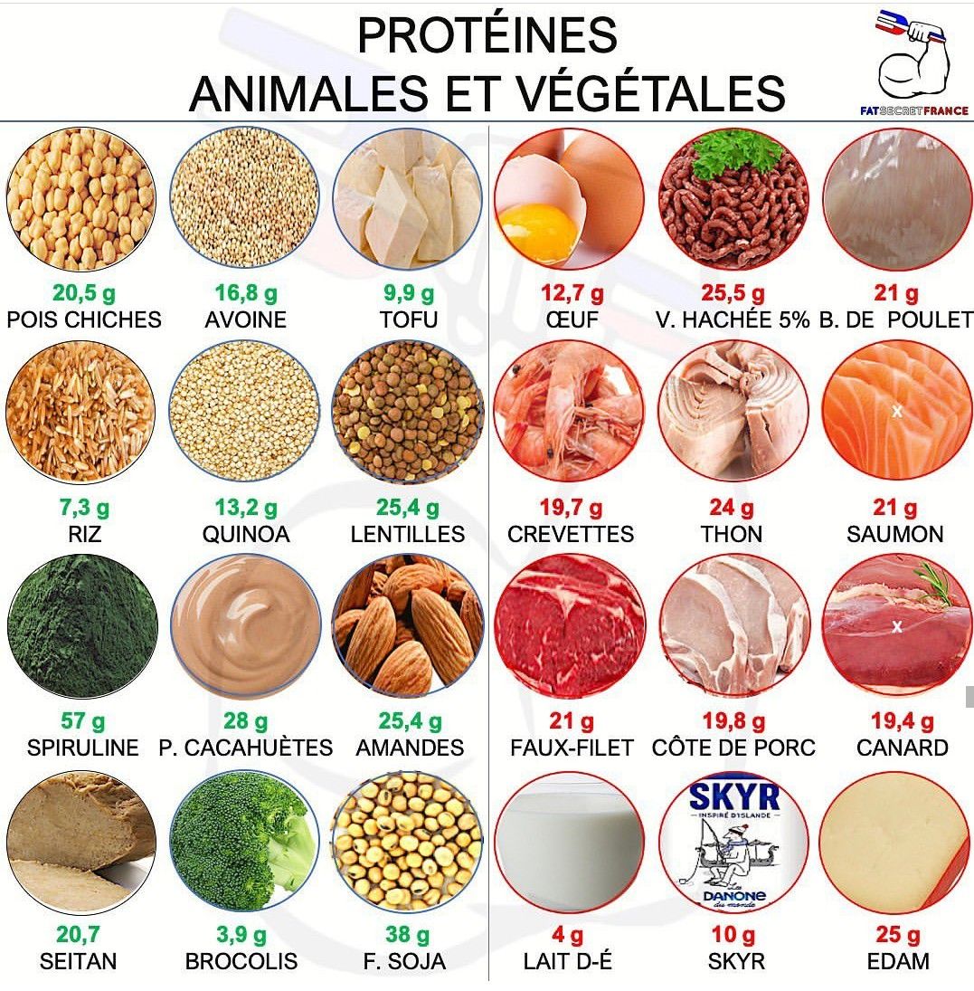 Aliment protéine