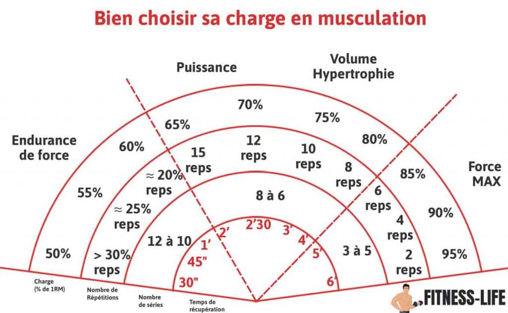 charge musculation